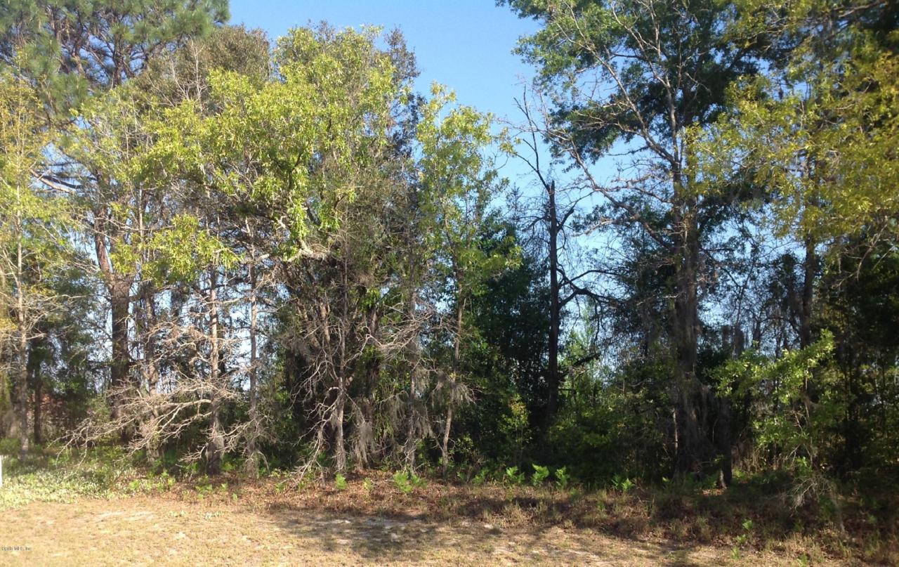 Lot13 130th Lane Road - Photo 1