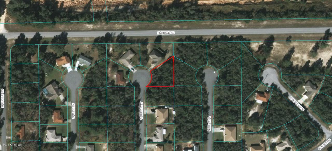 TBD Spruce Way - Photo 1