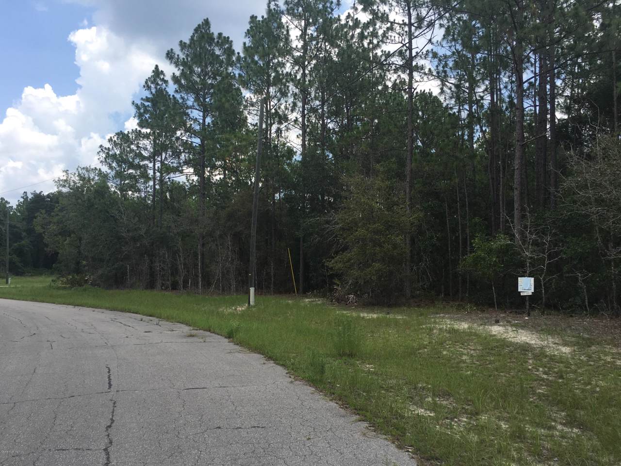 0 36th Avenue Road - Photo 1