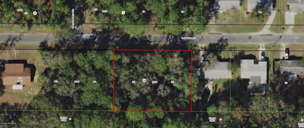 9800 Sandra Street - Photo 1