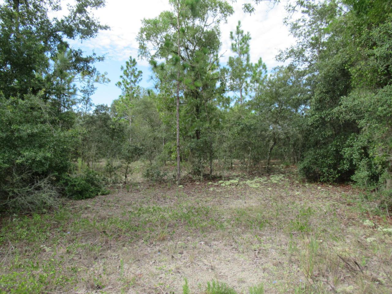 0 Marine Boulevard - Photo 1