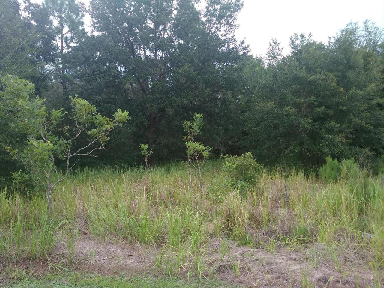 TBD Pine Course Drive - Photo 1