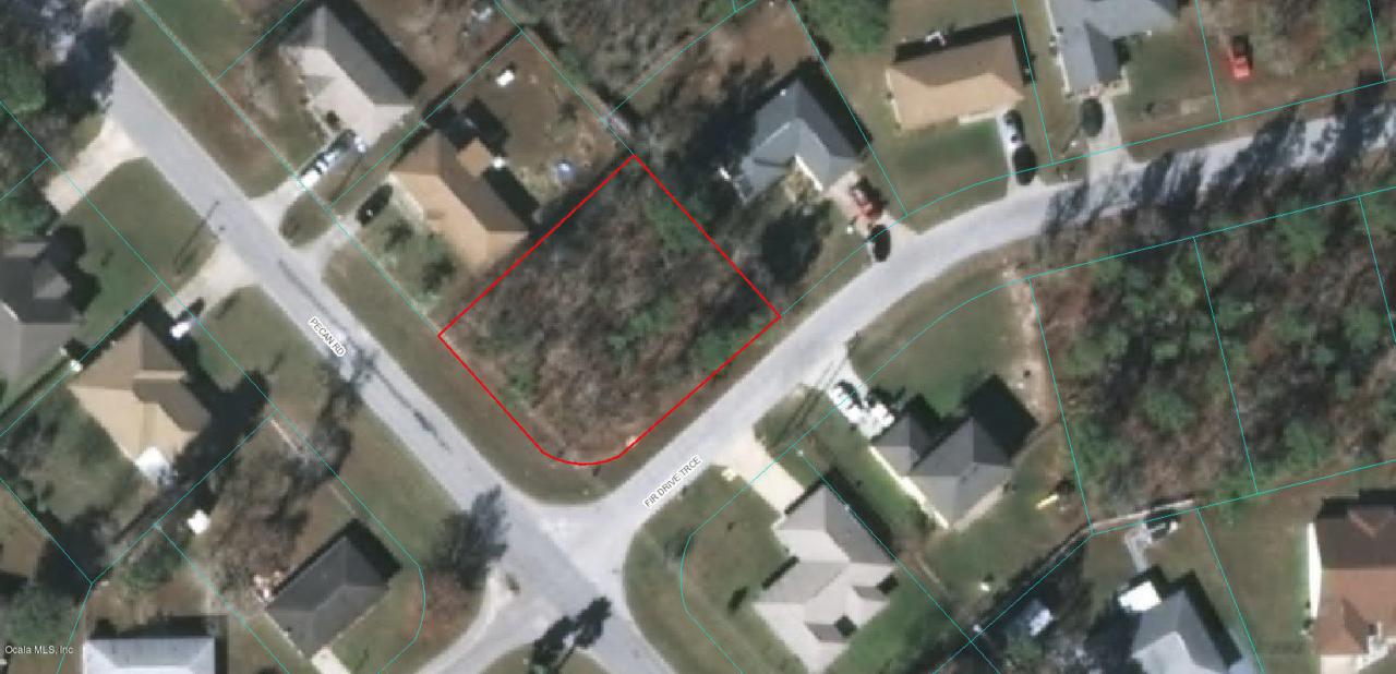 TBD Pecan Rd & Fir Dr. Trace - Photo 1