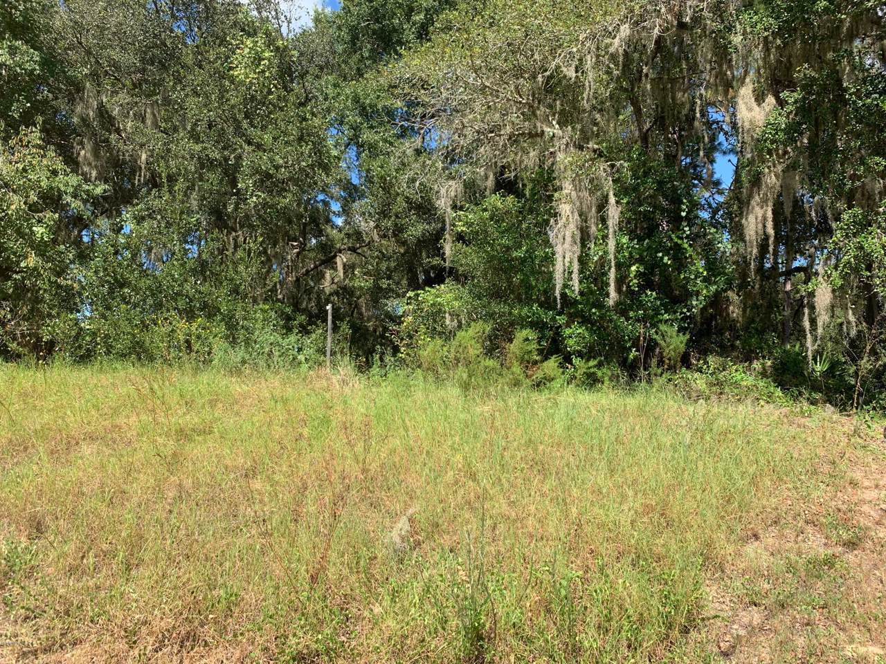 11867 Elkcam Boulevard - Photo 1