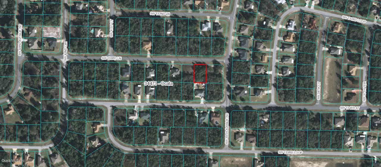 TBD Sw 133Rd Ln - Photo 1