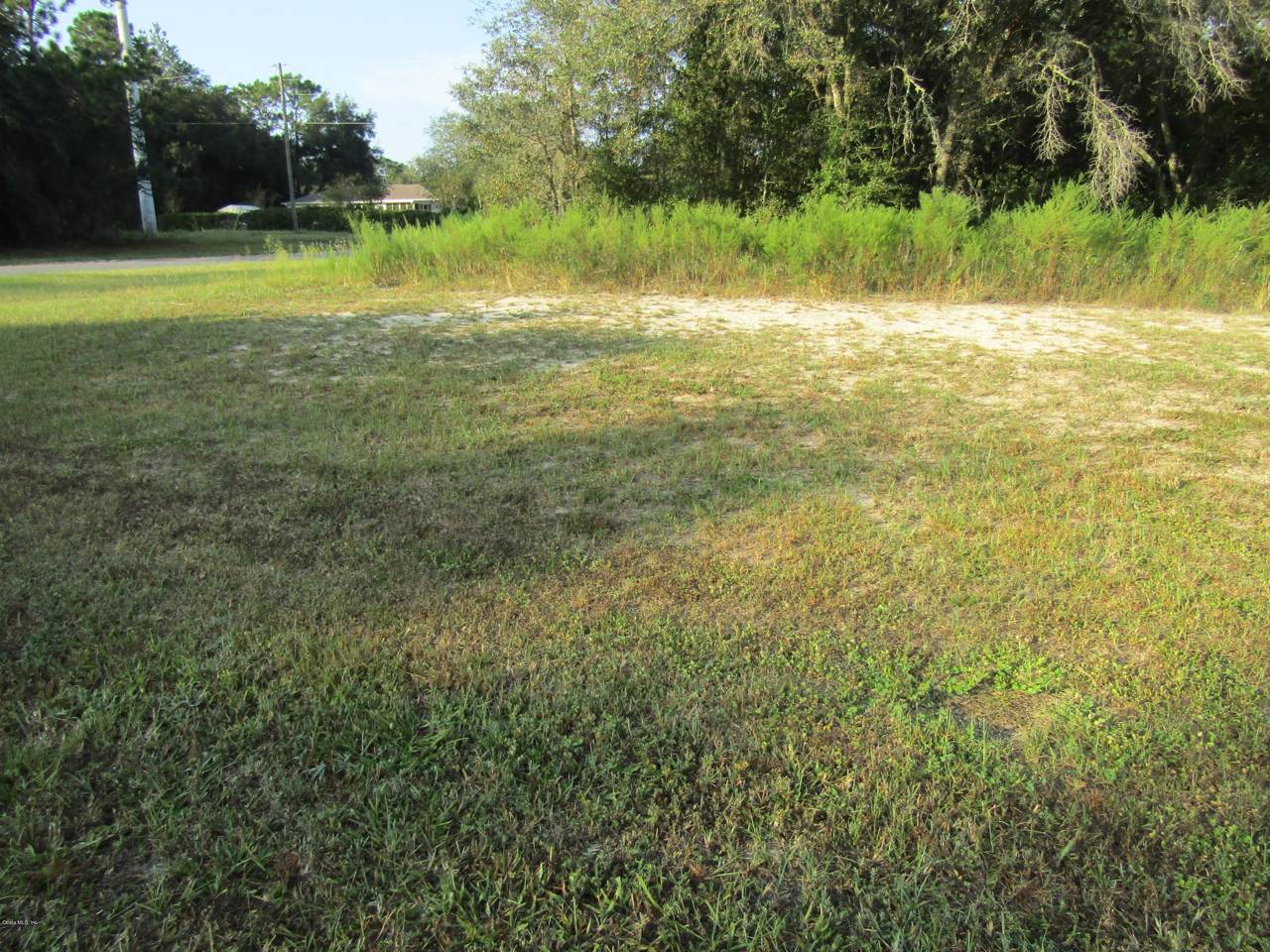 9018 Cortlandt Drive - Photo 1