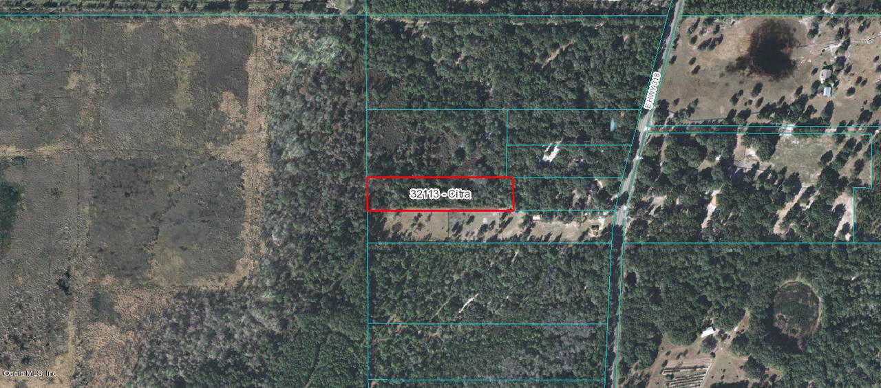 TBD E Hwy 318 - Photo 1