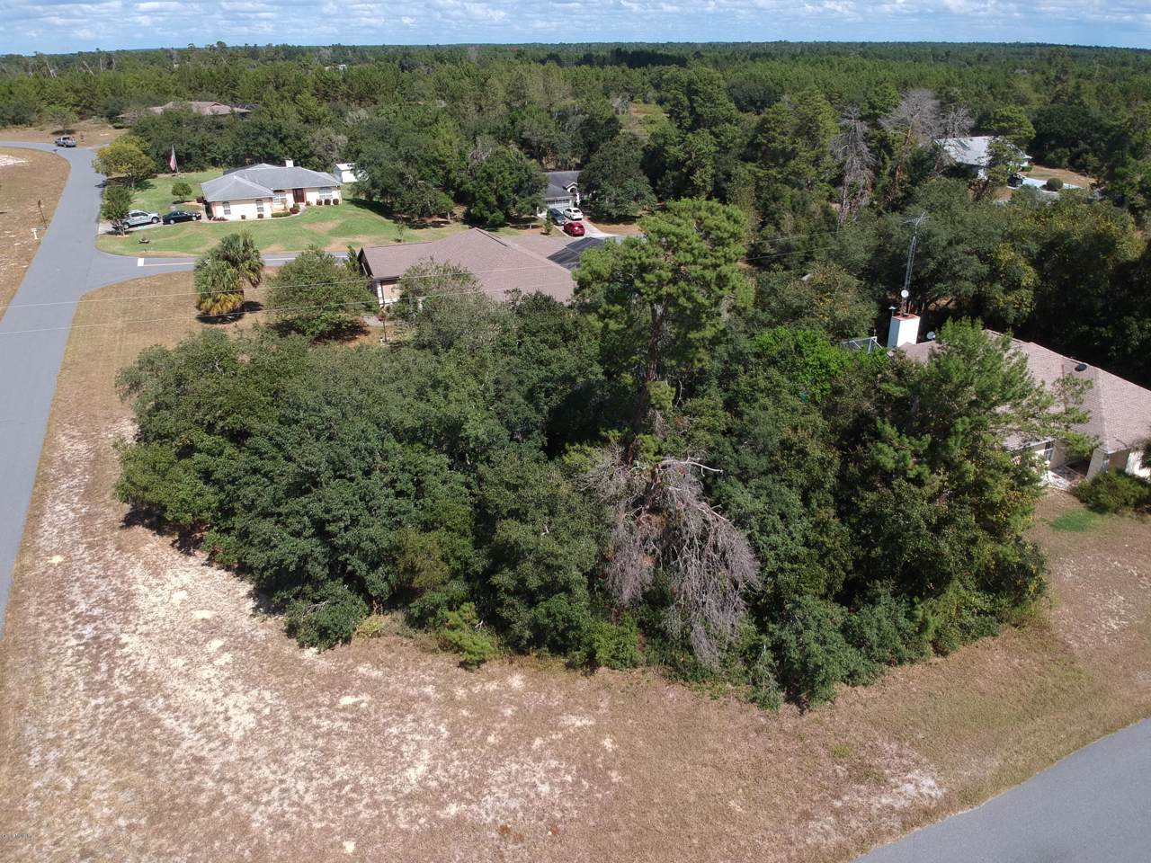 TBD Marion Oaks Golf Road - Photo 1