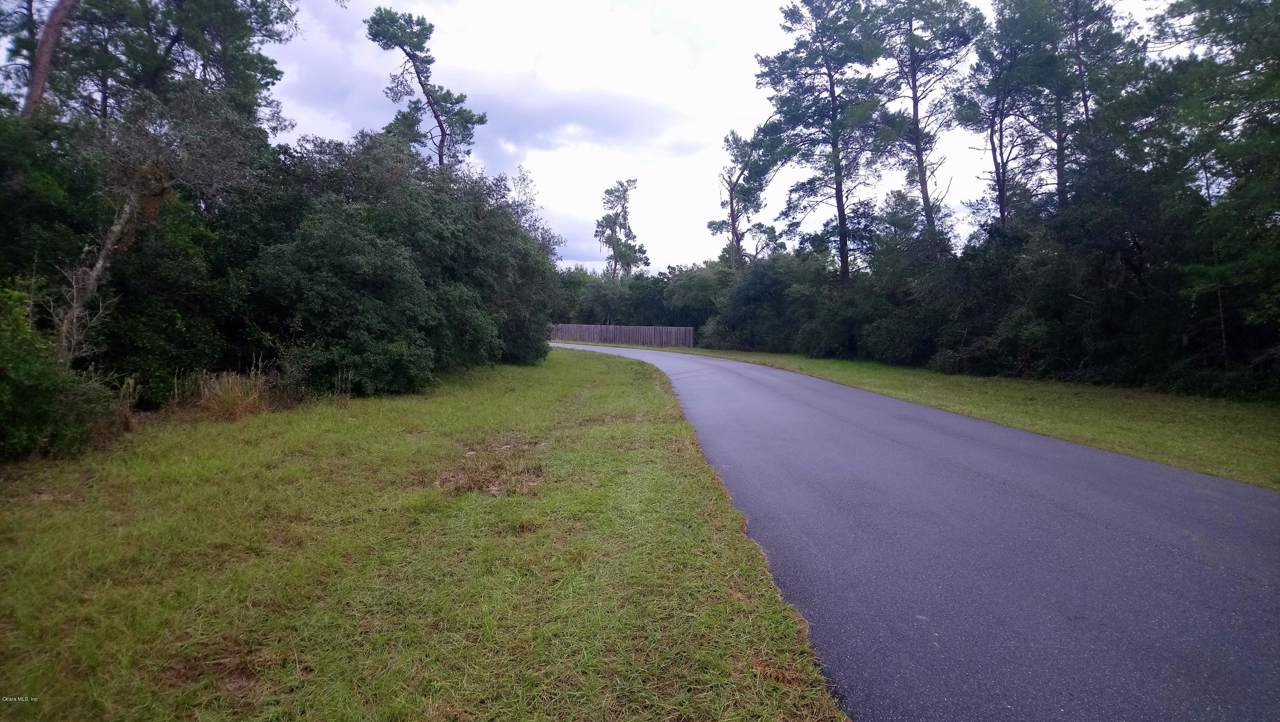0 161 Loop - Photo 1