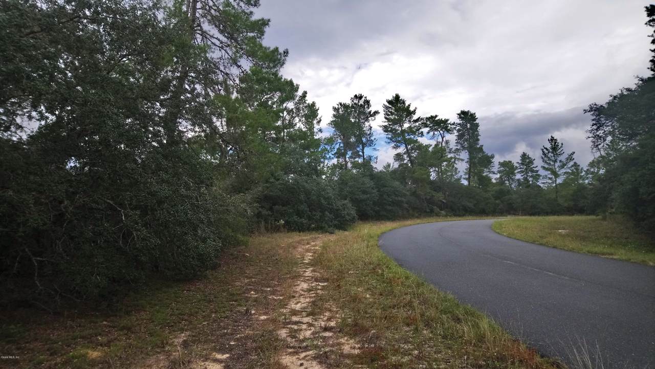 0 161 Loop / Lot 3 - Photo 1