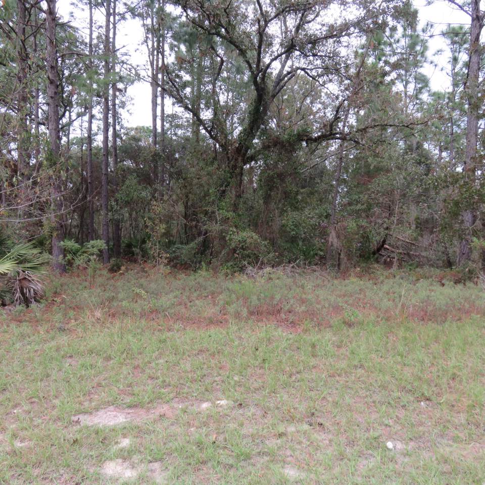 00 131 Loop - Photo 1