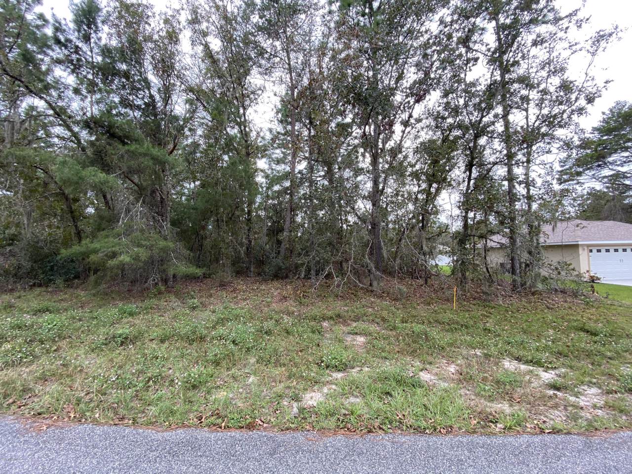 0 165th Street Road - Photo 1