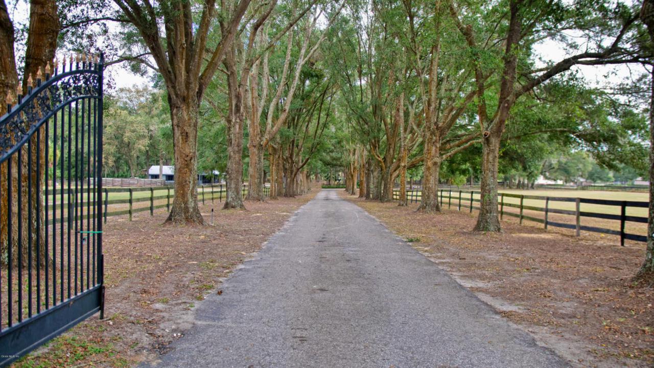 4925 Hwy 225A - Photo 1