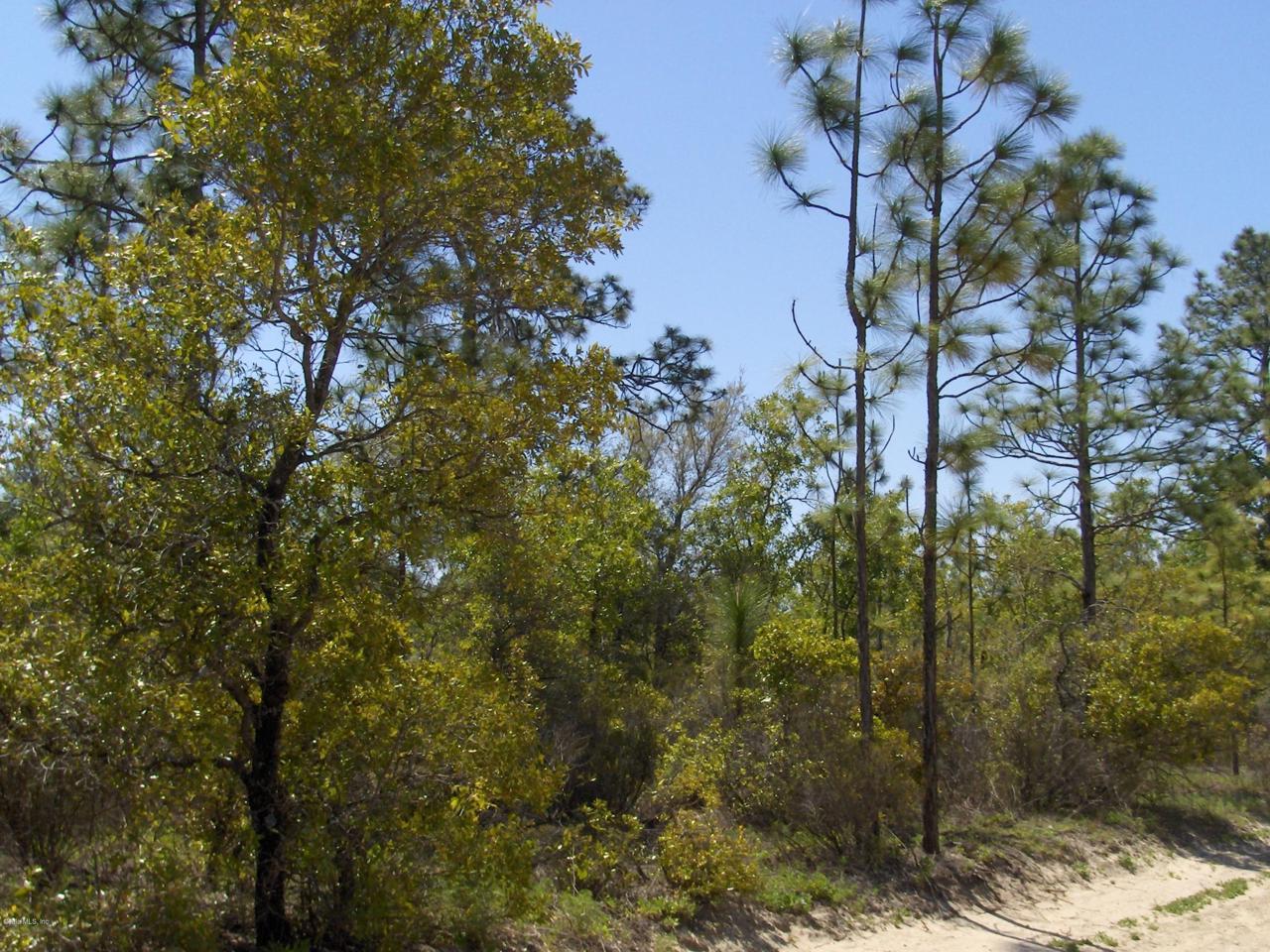000 Hwy Alt 27 - Photo 1
