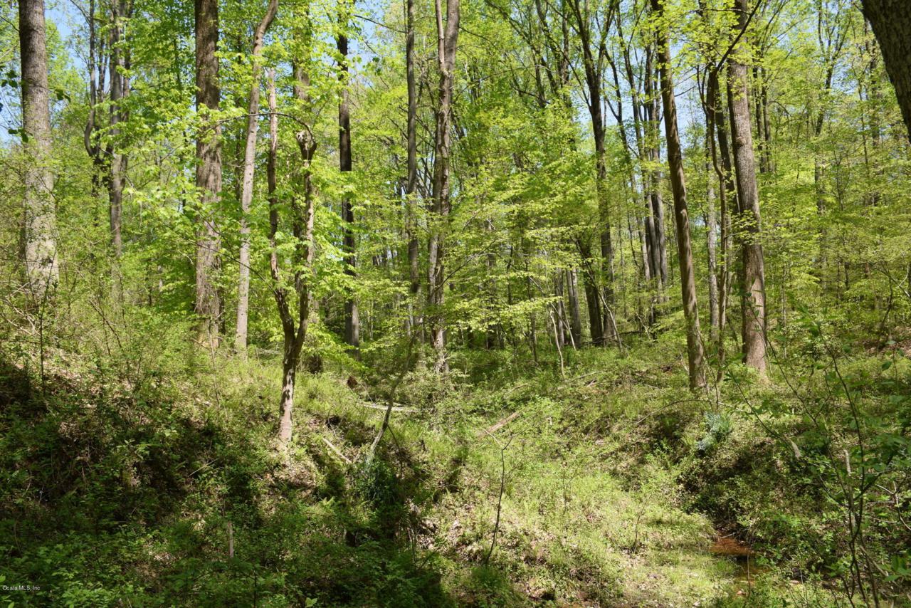 00 151 Loop - Photo 1