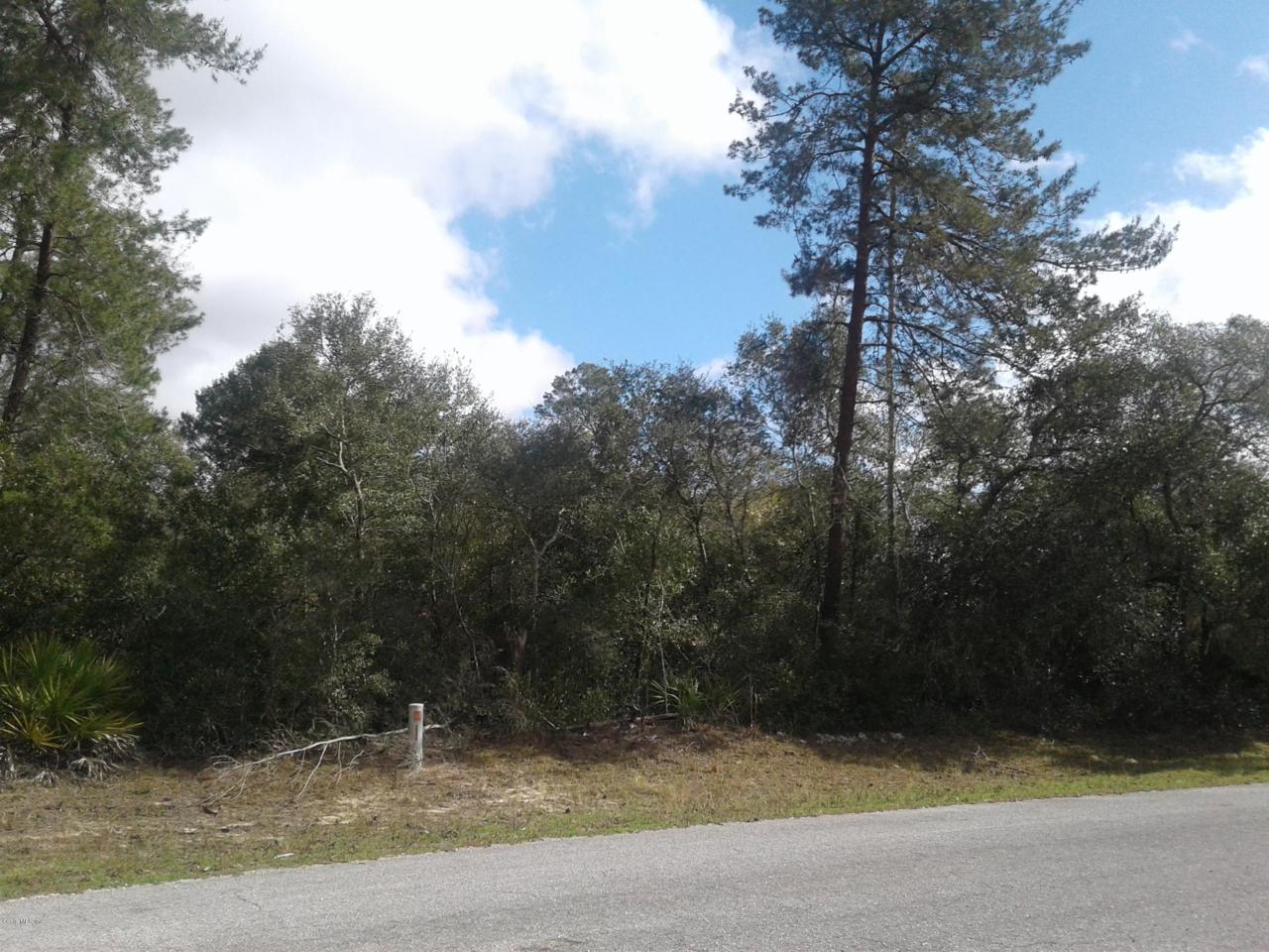 0 157th Loop - Photo 1
