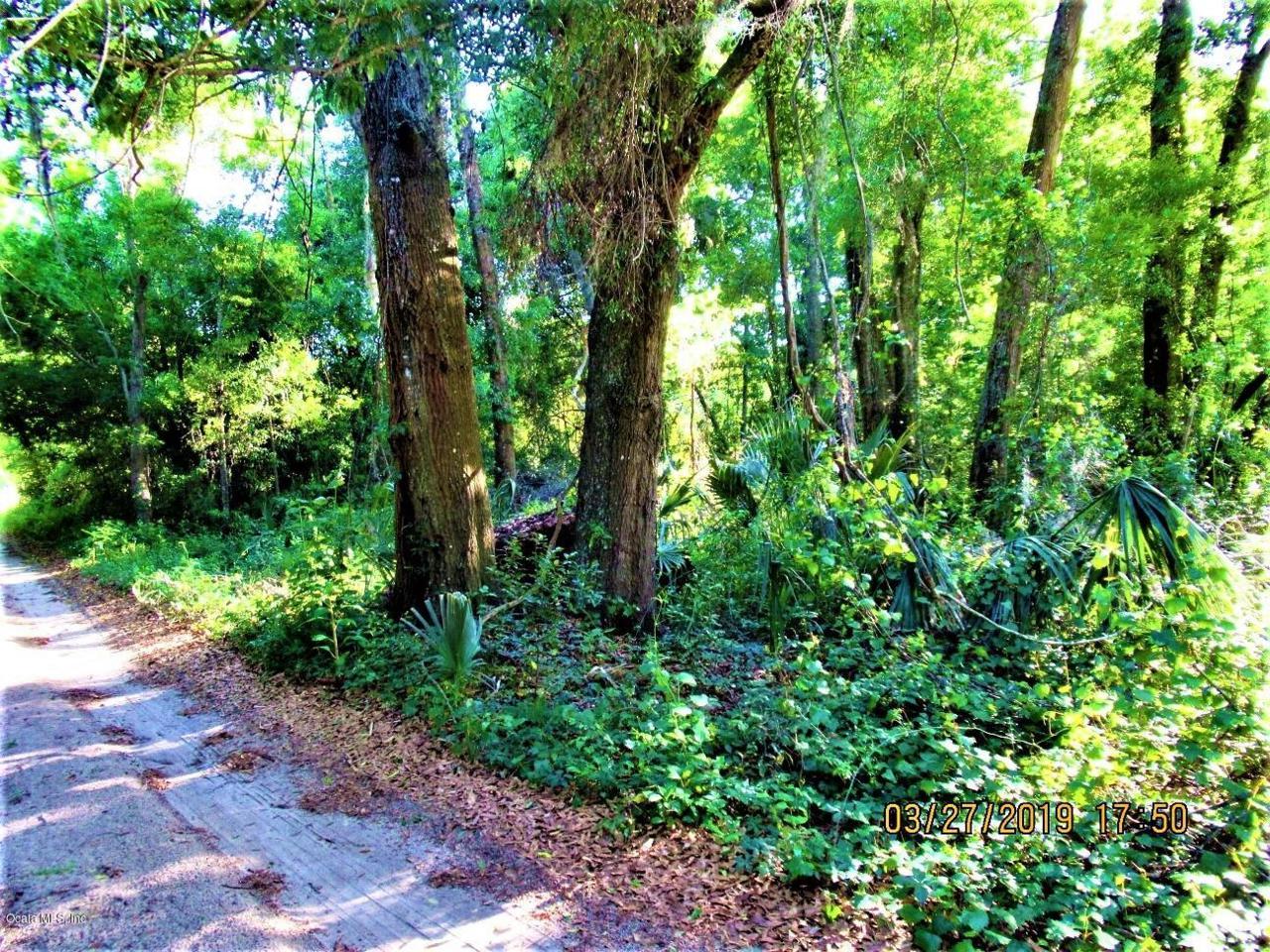 LOT4 125th Place - Photo 1