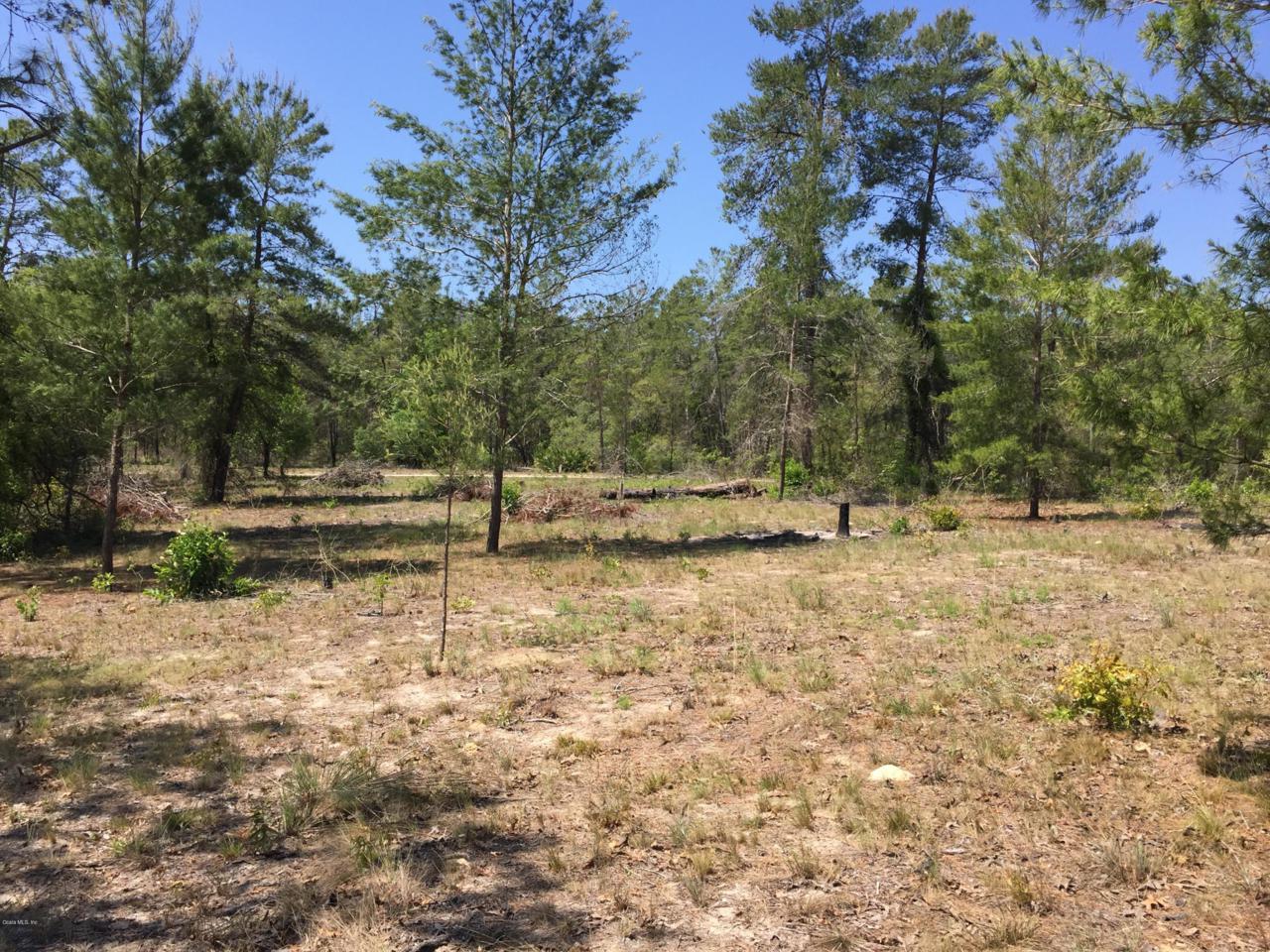 TBD 130th Avenue - Photo 1