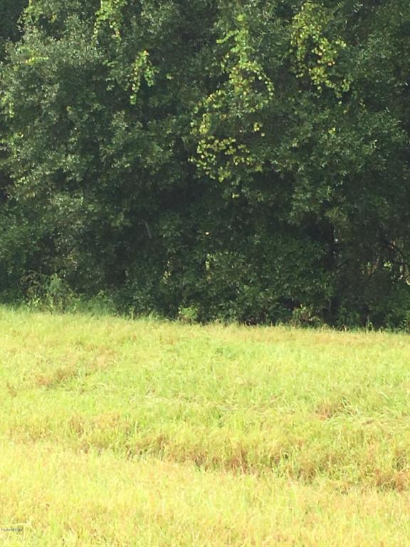 0000 Oak Pointe - Photo 1