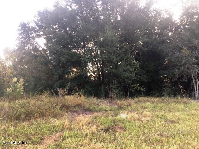 0 Us Hwy 441/27 - Photo 1