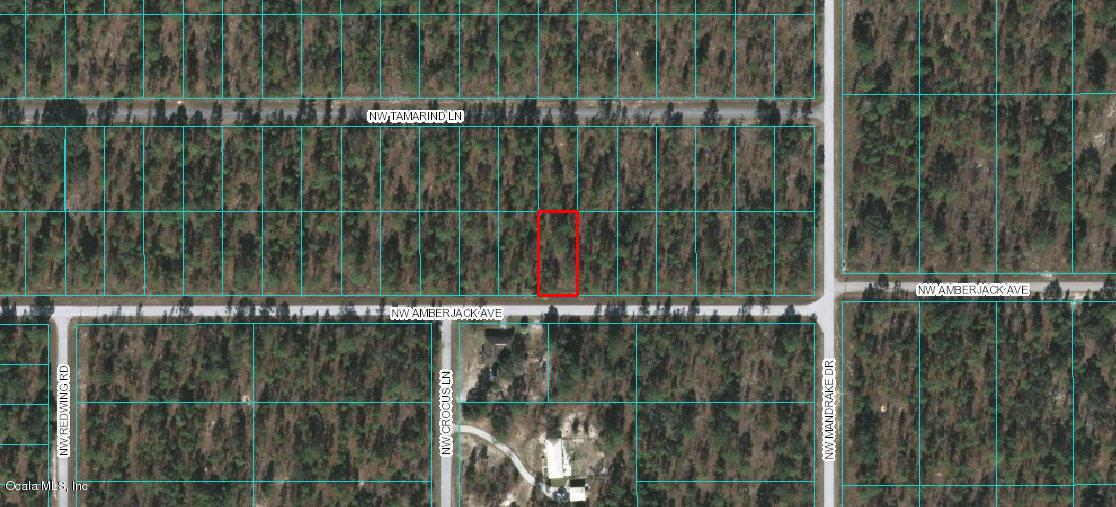 LOT 40 Amberjack Ave - Photo 1