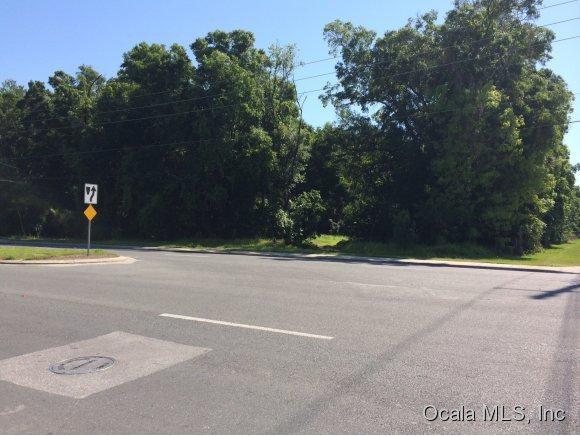 0 Martin Luther King Avenue - Photo 1