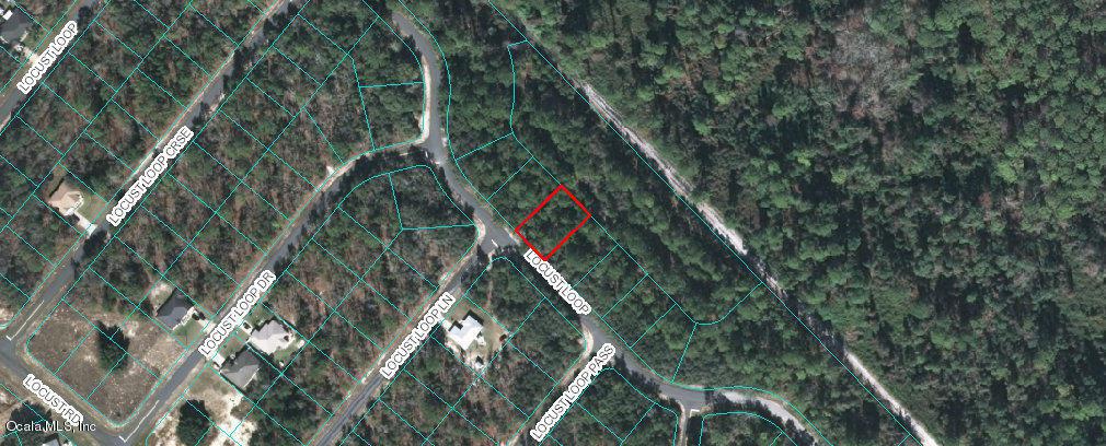 LOT 10 Locust Lane Way - Photo 1