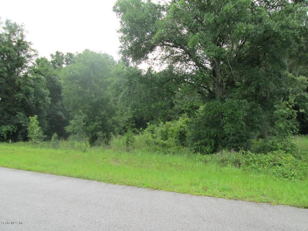 1345 Silver Thorn Loop - Photo 1