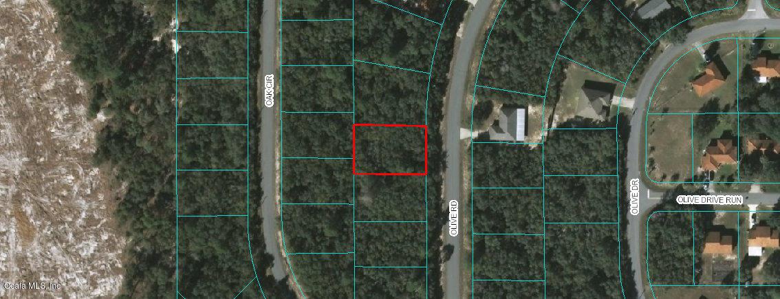 00 Olive Road - Photo 1