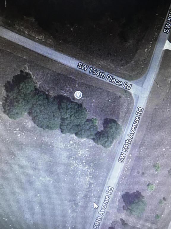 TBD Sw 154th Place Rd Unit 9 - Photo 1