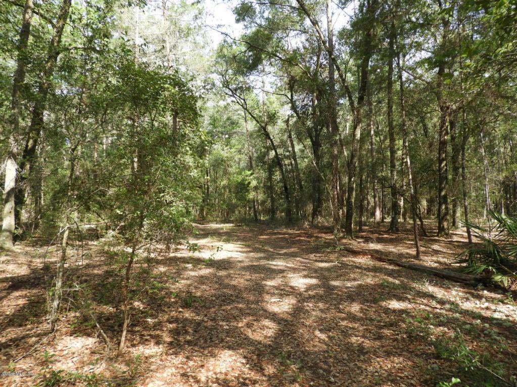 00 Lily Lake Road - Photo 1