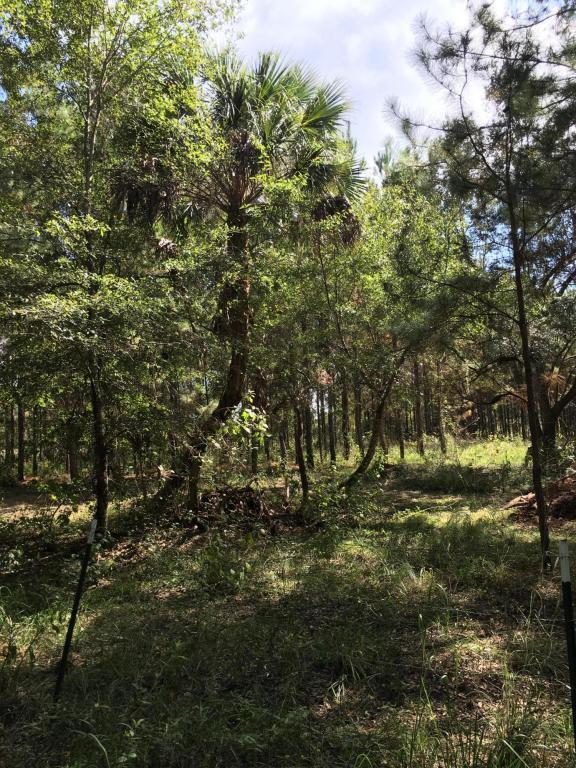 13582 Highway 315 - Photo 1