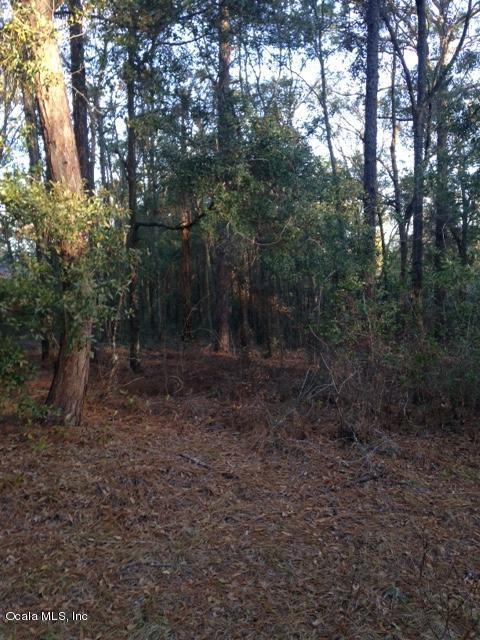 000 188 Circle - Photo 1