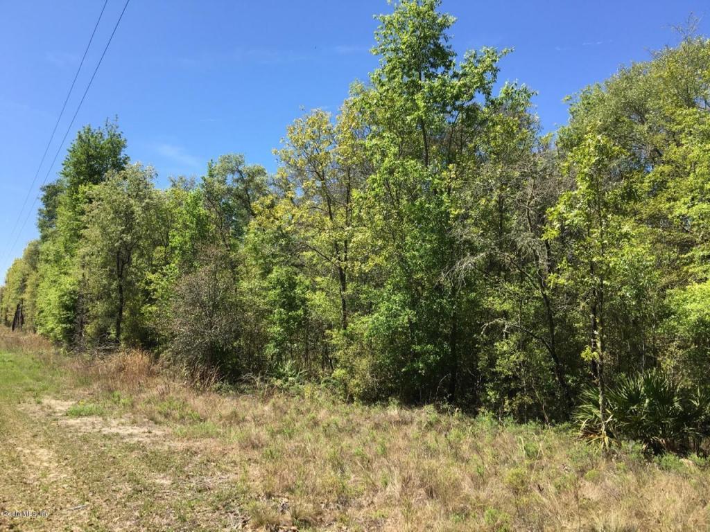 12690 75th Street - Photo 1