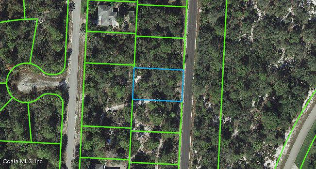 819 Daffodil Street - Photo 1