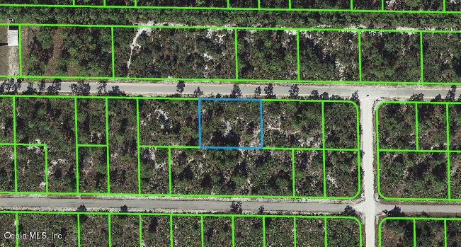 3340 Rhododendron Road - Photo 1