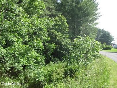 00 48 Avenue - Photo 1