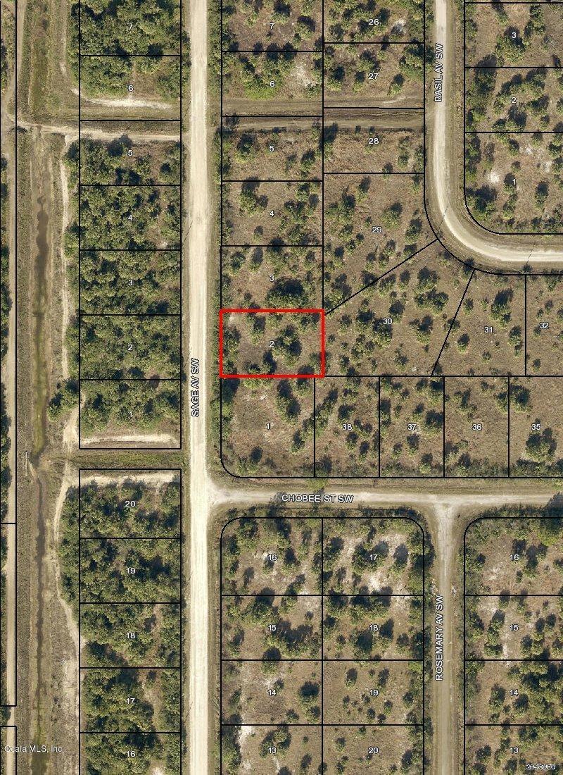 2891 Sage Avenue - Photo 1