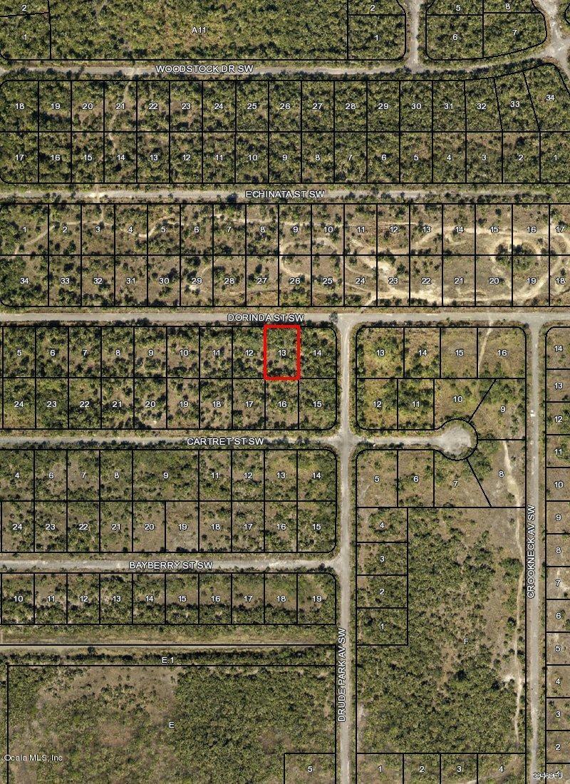 1000 Dorinda Street - Photo 1