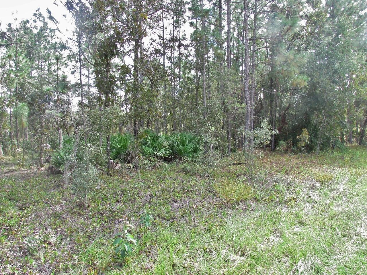 5709 Velveteen Point - Photo 1