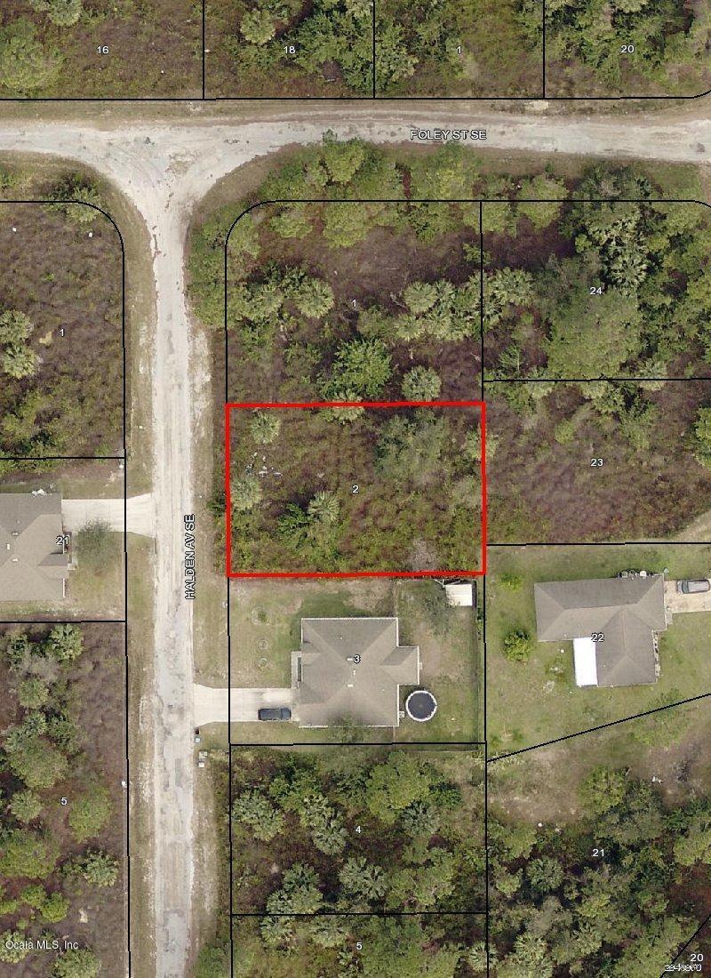 3221 Halden Avenue - Photo 1