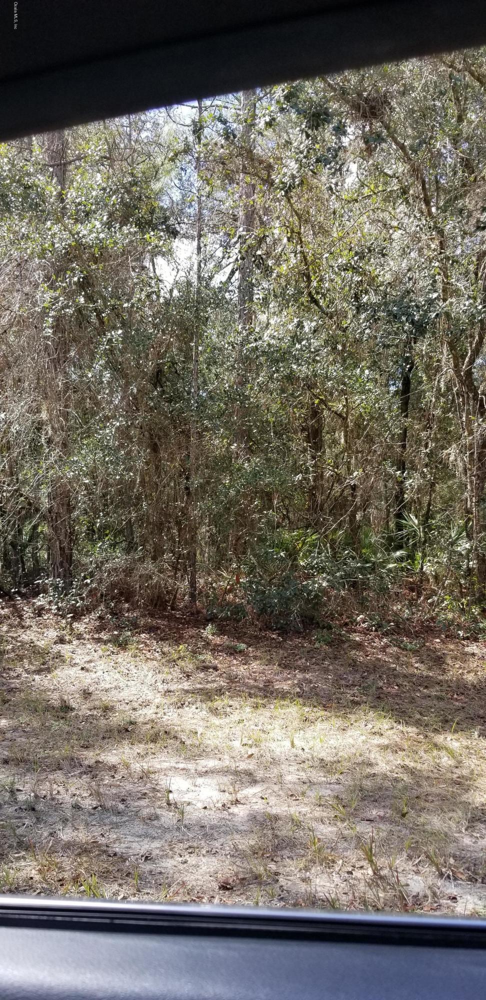 00 55th - Photo 1