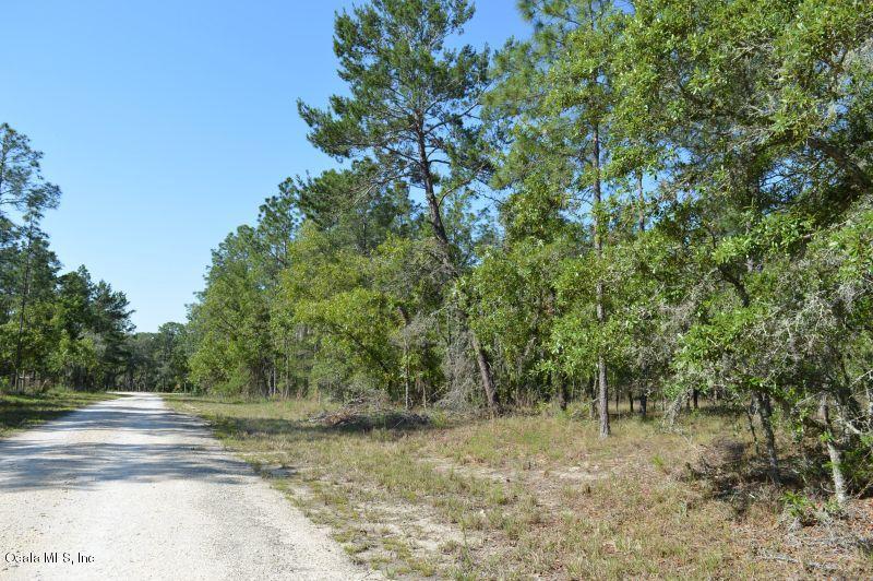 TBD 142nd Terrace - Photo 1
