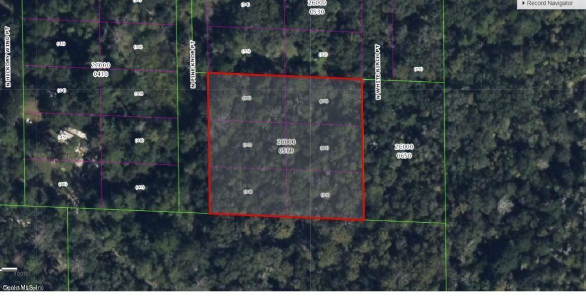 7833 Pine Knob Point - Photo 1
