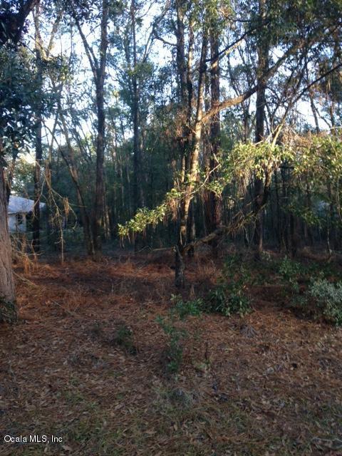 000 188 Circle - Photo 1