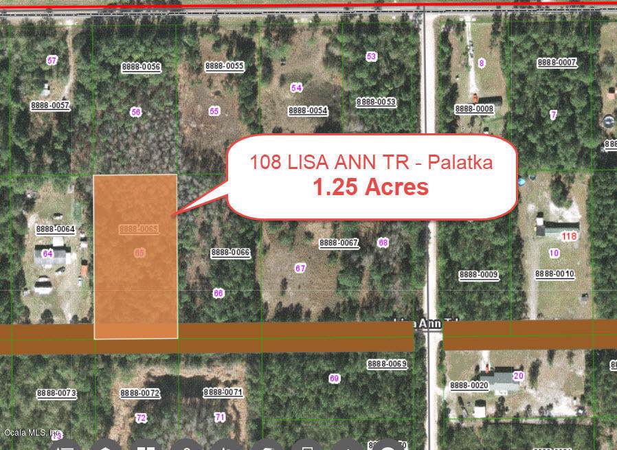 108 Lisa Ann Trail - Photo 1