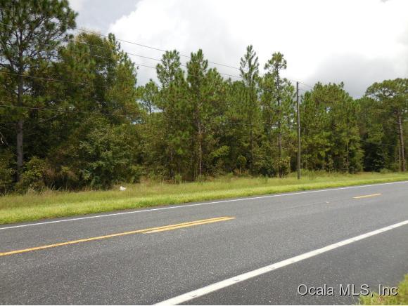 TBD State Road 121 - Photo 1