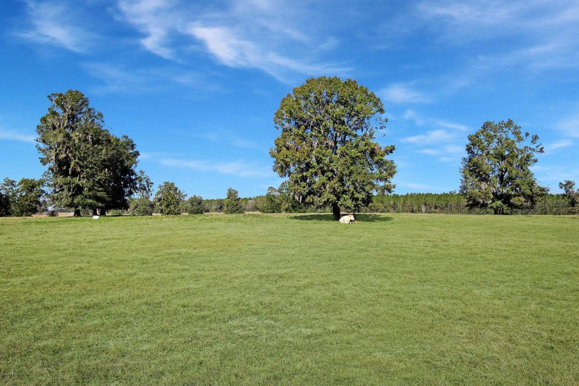 15555 Highway 464B - Photo 1