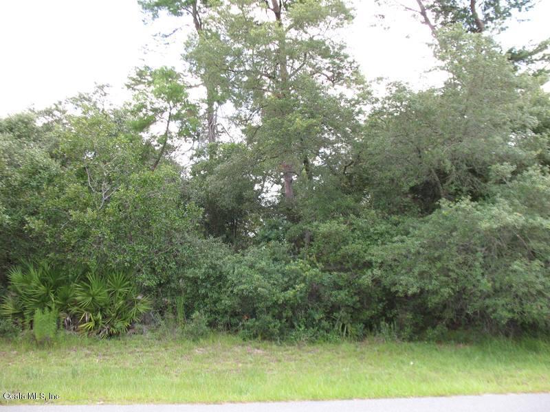 TBA 30 Terr Rd - Photo 1