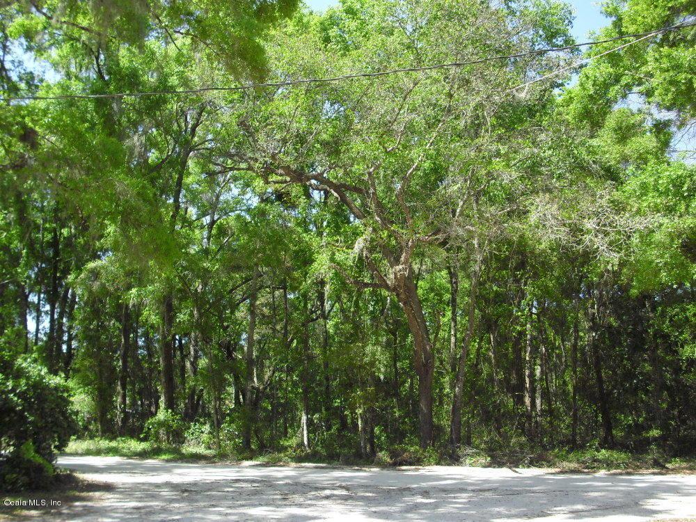 00 131st Place - Photo 1